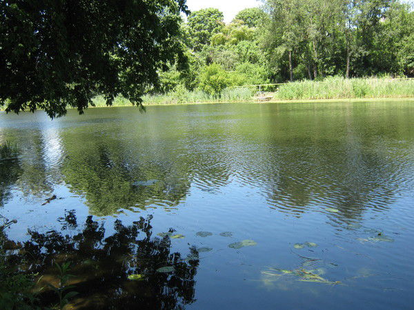 Оксана Медведовска