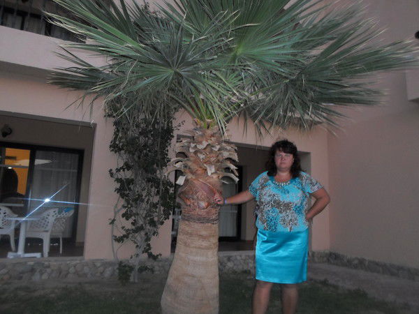 Люда Штефырцэ