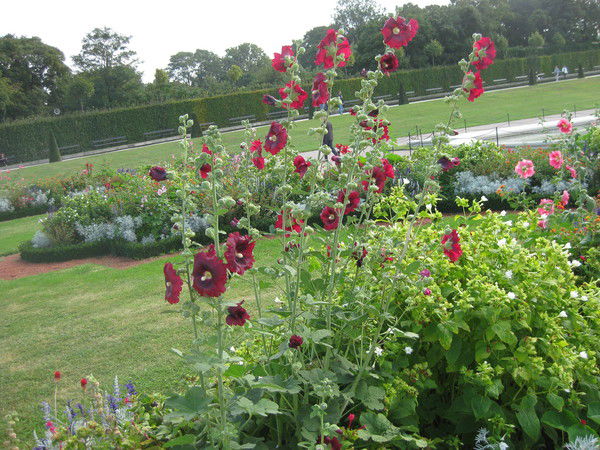 Вика Мукомела-Михалец