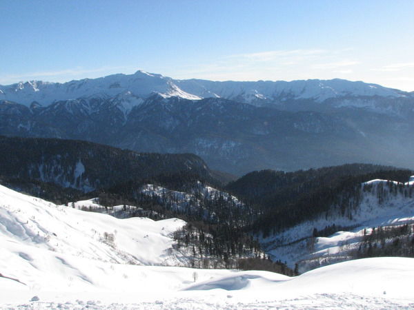 Олег Семенов