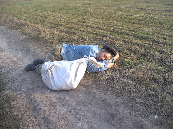 Принц Спящий