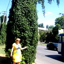 Светлана Елисеева