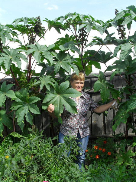 Валентина Бельдягина