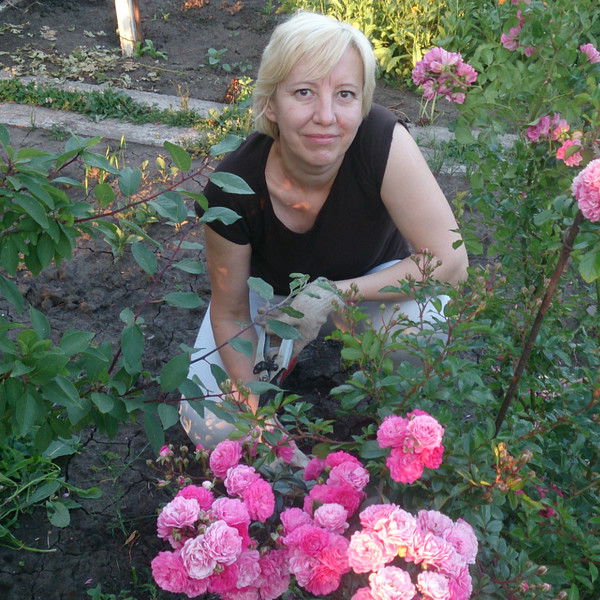 Светлана Лавренина