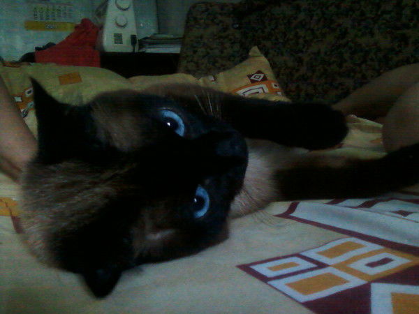 Анна Грабовская