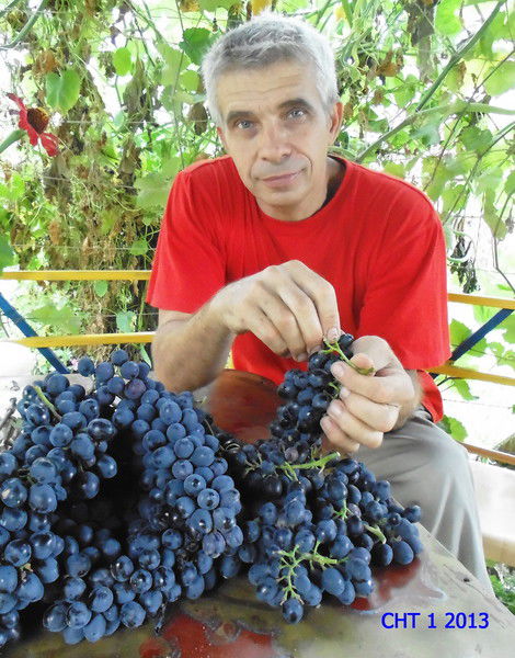 Василий Баль