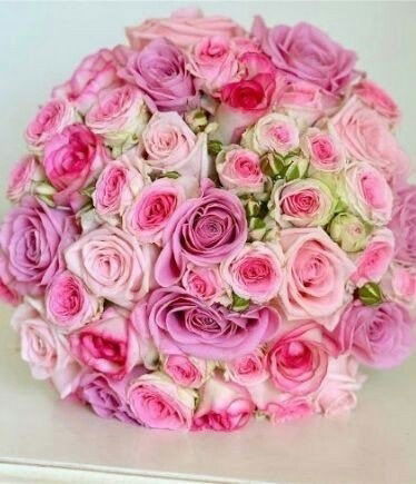 Анара Дария Айдын