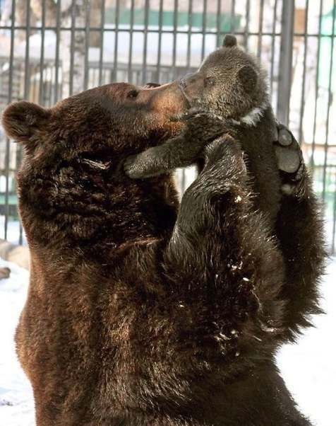 Виктор Ивень