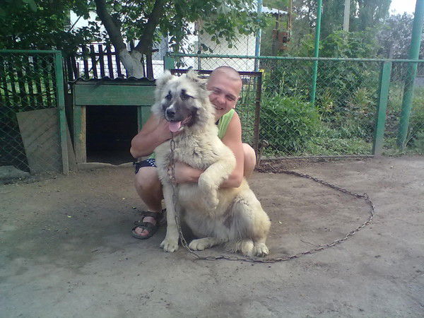 Сергей Карчёха