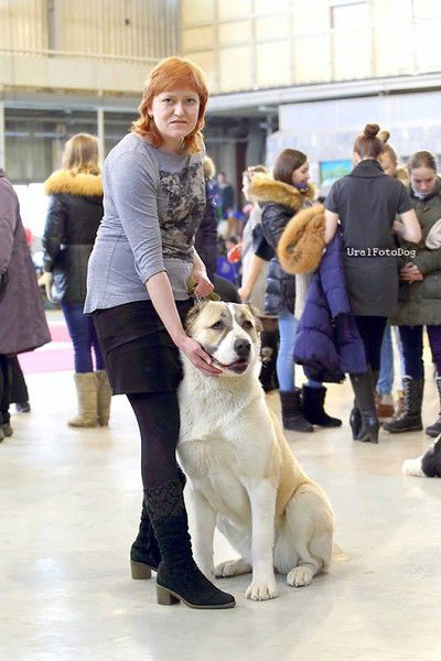 Татьяна Шестакова