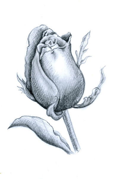 Ирина Черепанова