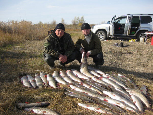 Евгений Саверский