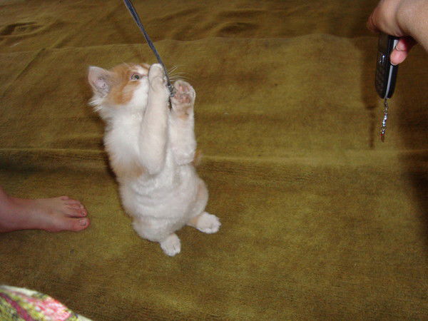 Алина Гизатуллина