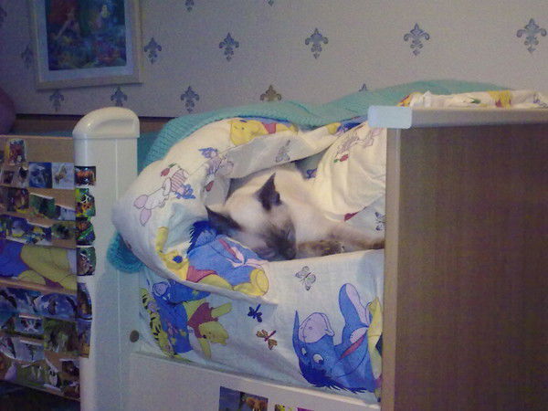 Константин Лакаев