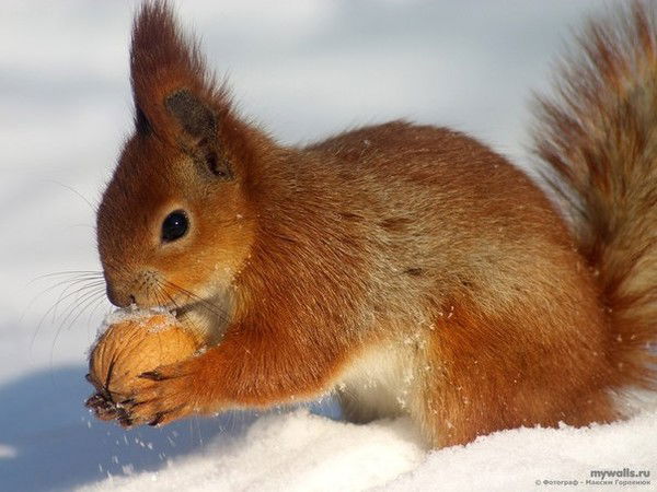 @***леночек***=) ...