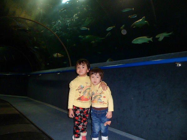 Айзада Ботбаева