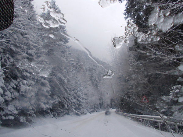 Анжелика Чекурина