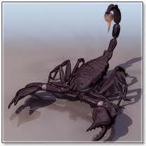 Андрей Свистун