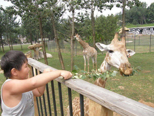 Юлия Егорова