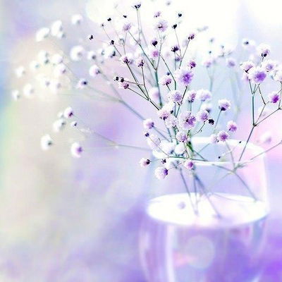 Альбина Арсланова