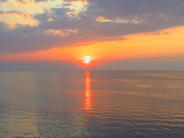 Виталий Старагин