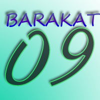 Чулпан Загидуллин