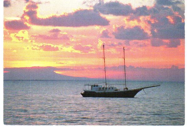 Ирина Орленко