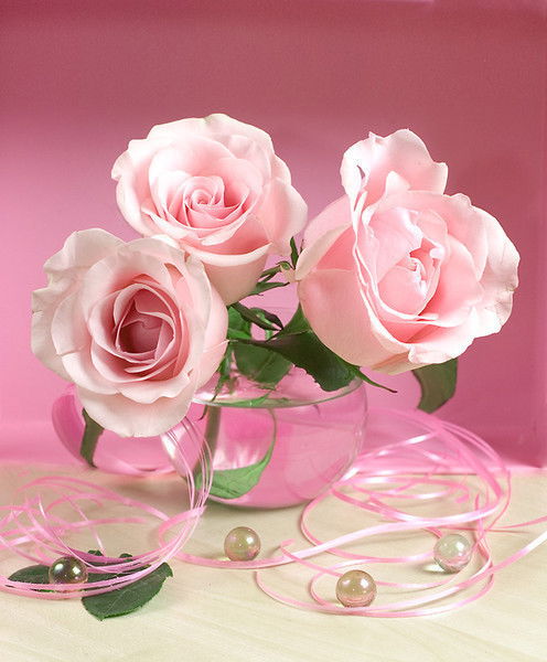 Алма Дуйсенова