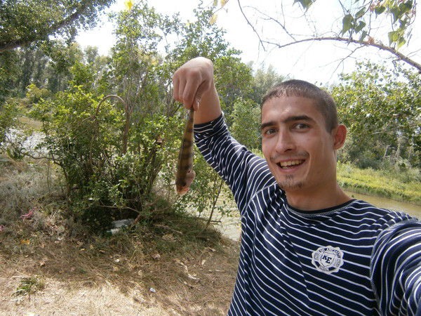 Ник Ari_100_Krat .