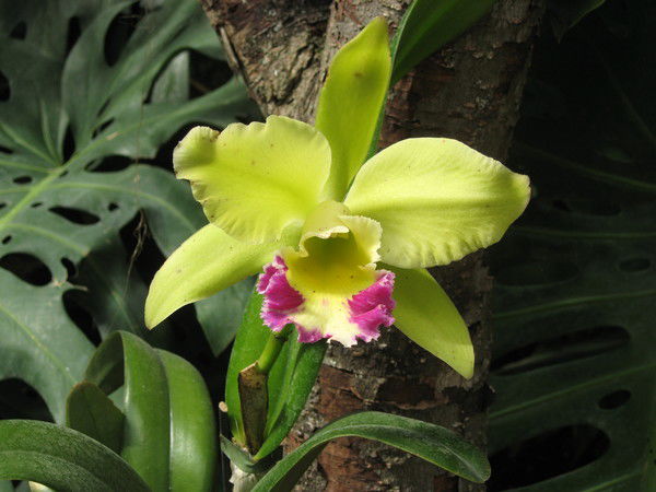 Юлия Мащенко