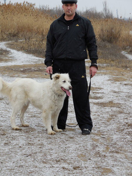 Александр Говоров