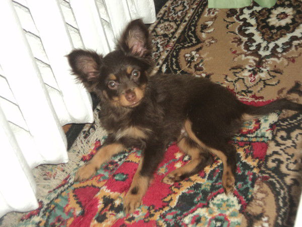 Надежда Кузнецова