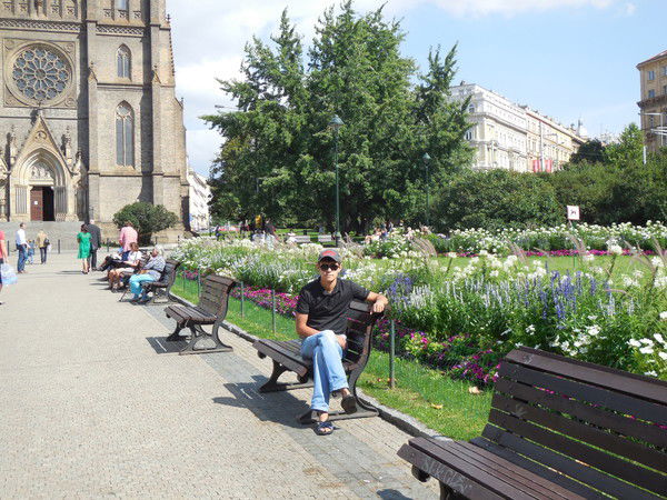 Радик Радик