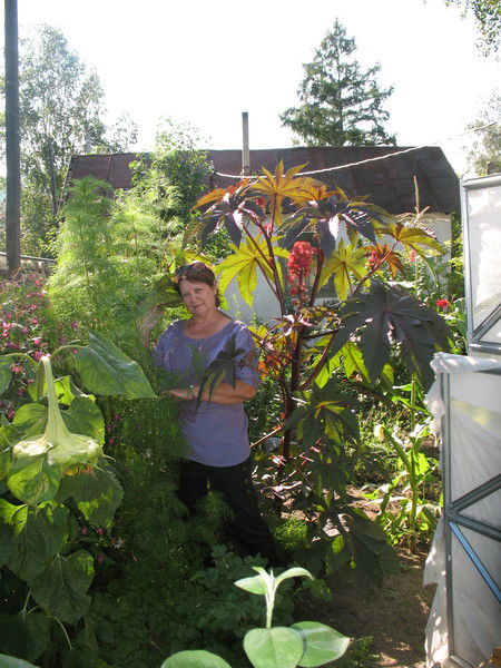 Людмила Герман (Папуча)