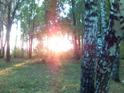 Кристина Мокшина