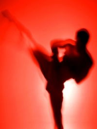 Дмитрий Дубинин