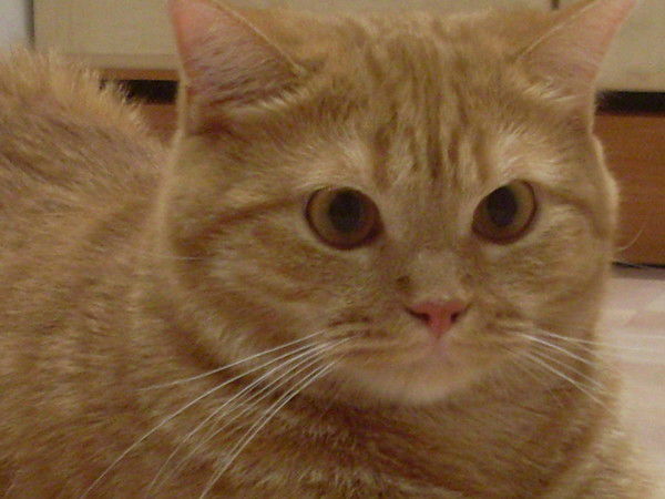 Наталья Егорова