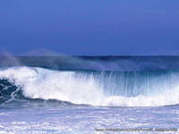 Анна Лебедева