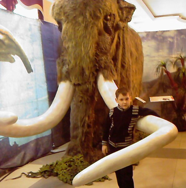 Никита Гузенко