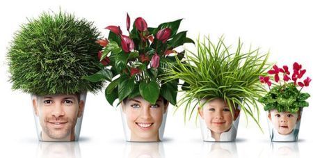 Александр Михайловский