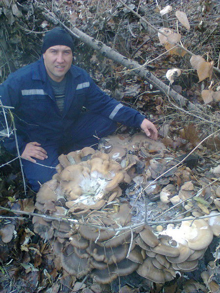 Таир Закиров