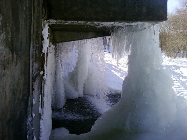 Сергей Плотников
