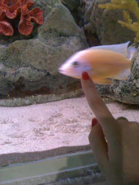 Марина Гринева