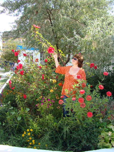 Наталья Крень