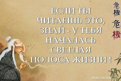 Елена Козлова