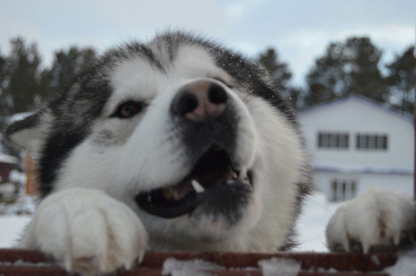 Ольга Сухушина