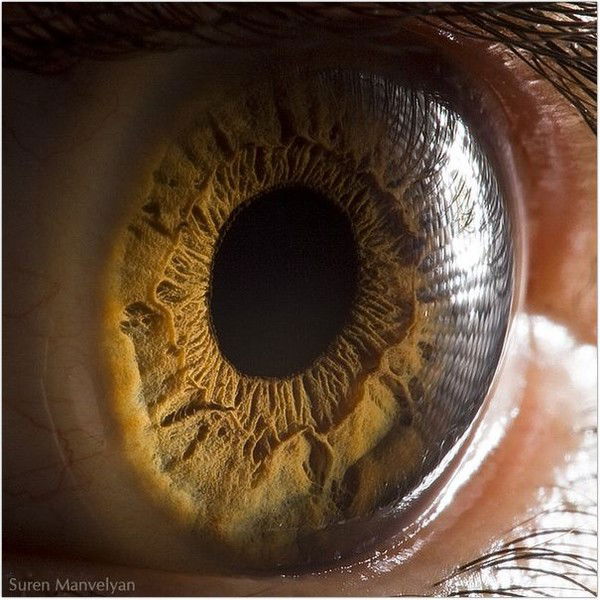 Игорь Глазов