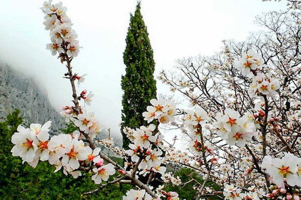 Ева Листвинная