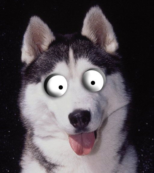 Денис Шереметьев