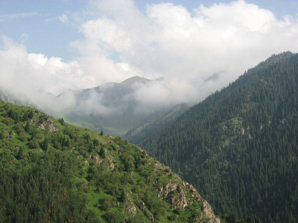 Айман Джайлаубекова